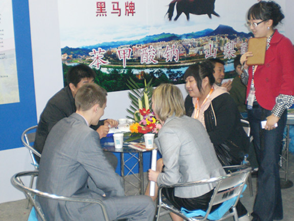 黃石市火炬科技實(shí)業(yè)有限責(zé)任公司